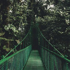 Превью обои мост, деревья, листва