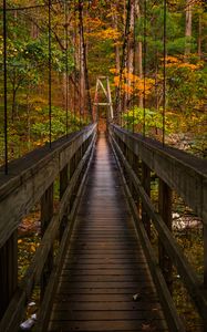 Превью обои мост, деревья, листва, лес, природа