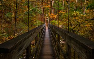 Превью обои мост, деревья, листва, лес, природа