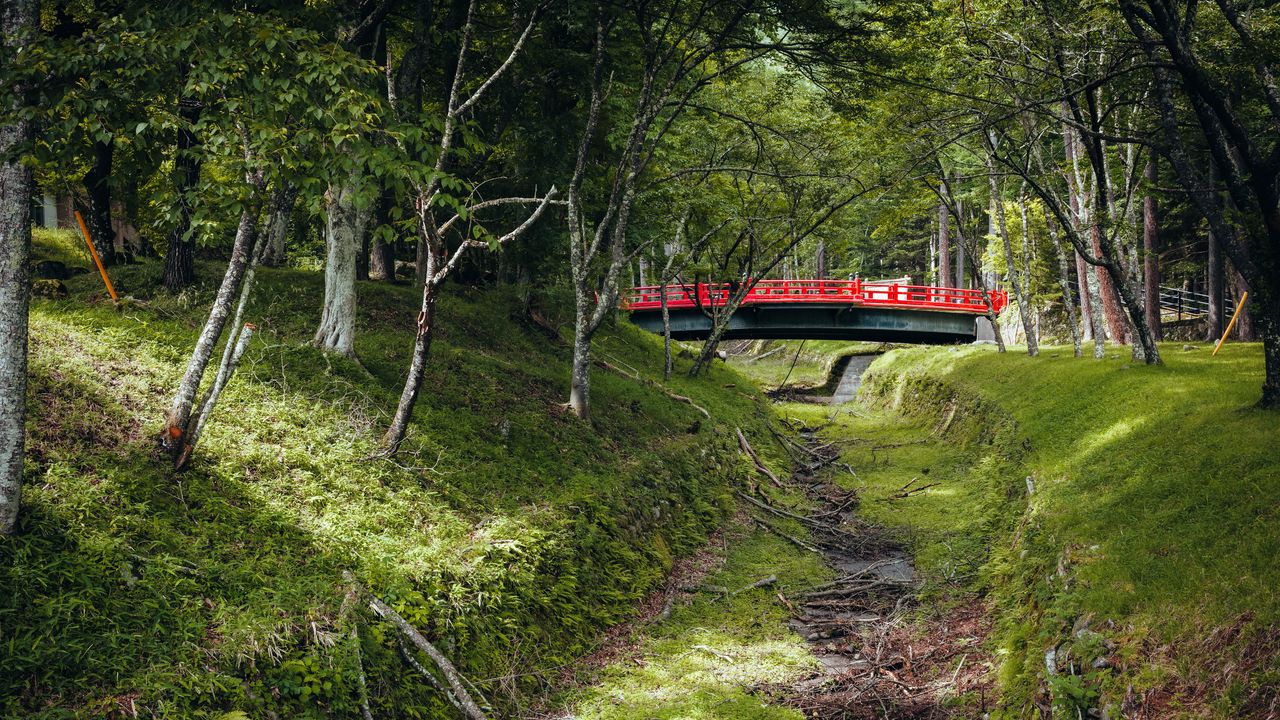 Обои мост, деревья, природа, трава