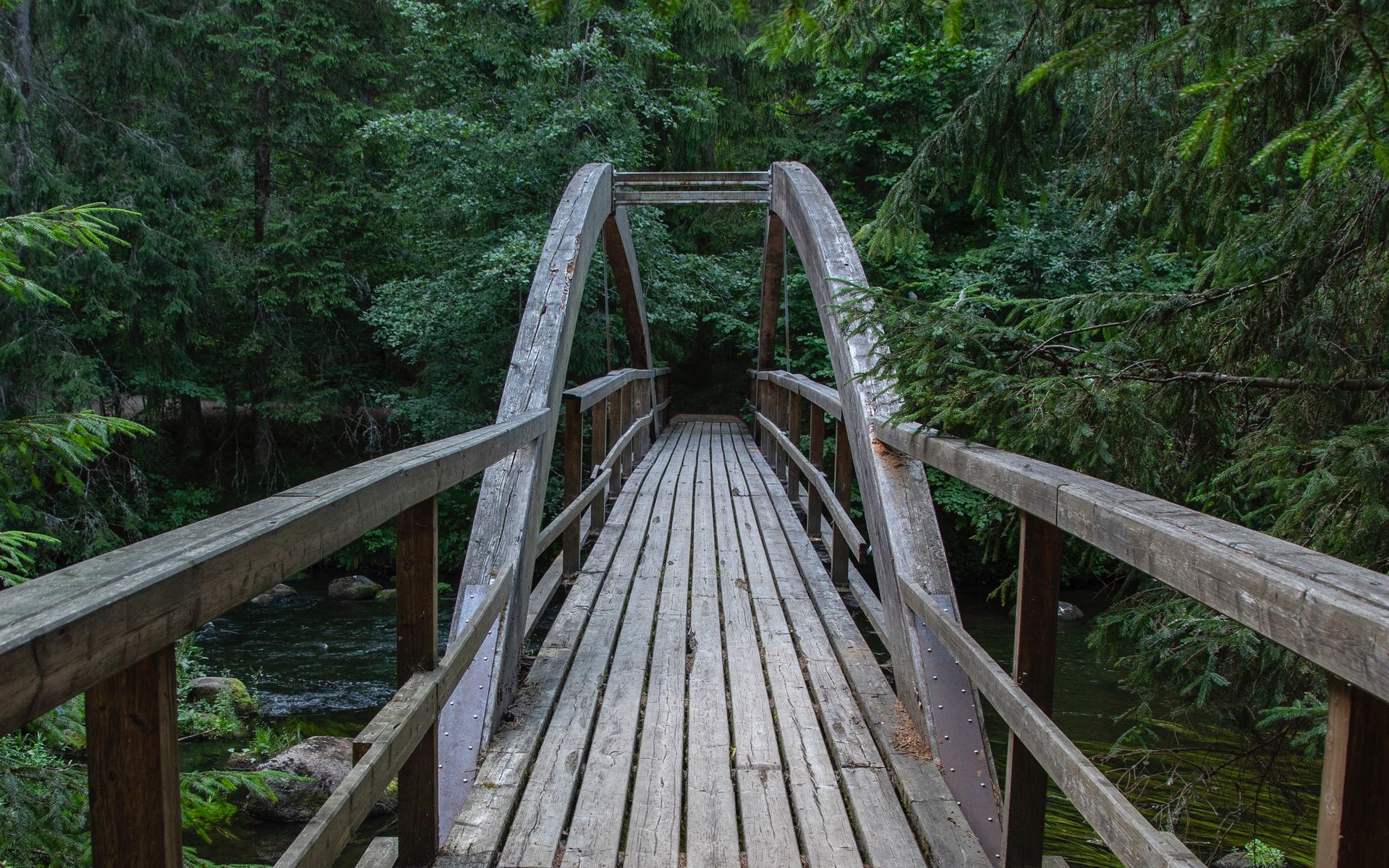 Чоботовский лес деревянный мост