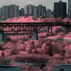 Превью обои мост, дома, здания, деревья, город, розовый