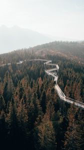 Превью обои мост, дорога, лес, деревья, горы, туман