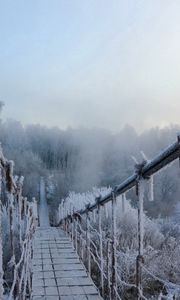 Превью обои мост, иней, подвесной, холод, мороз, зима, высота