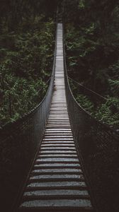 Превью обои мост, канатный мост, подвесной мост, лес, деревья, высота