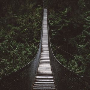 Превью обои мост, канатный мост, подвесной мост, лес, деревья, высота