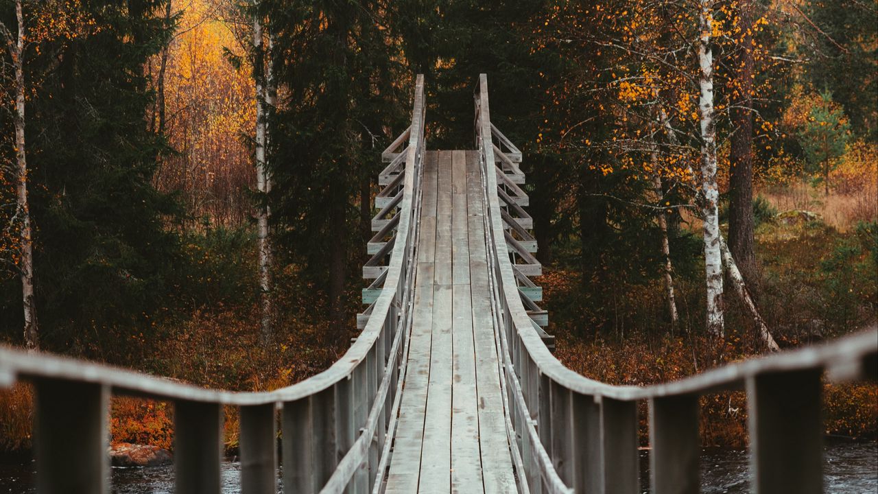 Обои мост, лес, деревья, осень, река