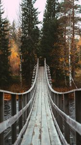 Превью обои мост, лес, деревья, осень, река