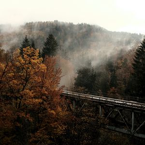 Превью обои мост, лес, деревья, туман, осень