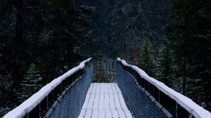 Превью обои мост, лес, деревья, снег, природа