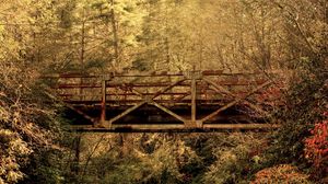 Превью обои мост, лес, деревья, перекладины