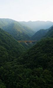 Превью обои мост, лес, горы, природа