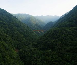 Превью обои мост, лес, горы, природа