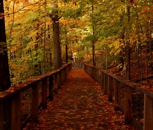 Превью обои мост, лес, листья, осень, пейзаж