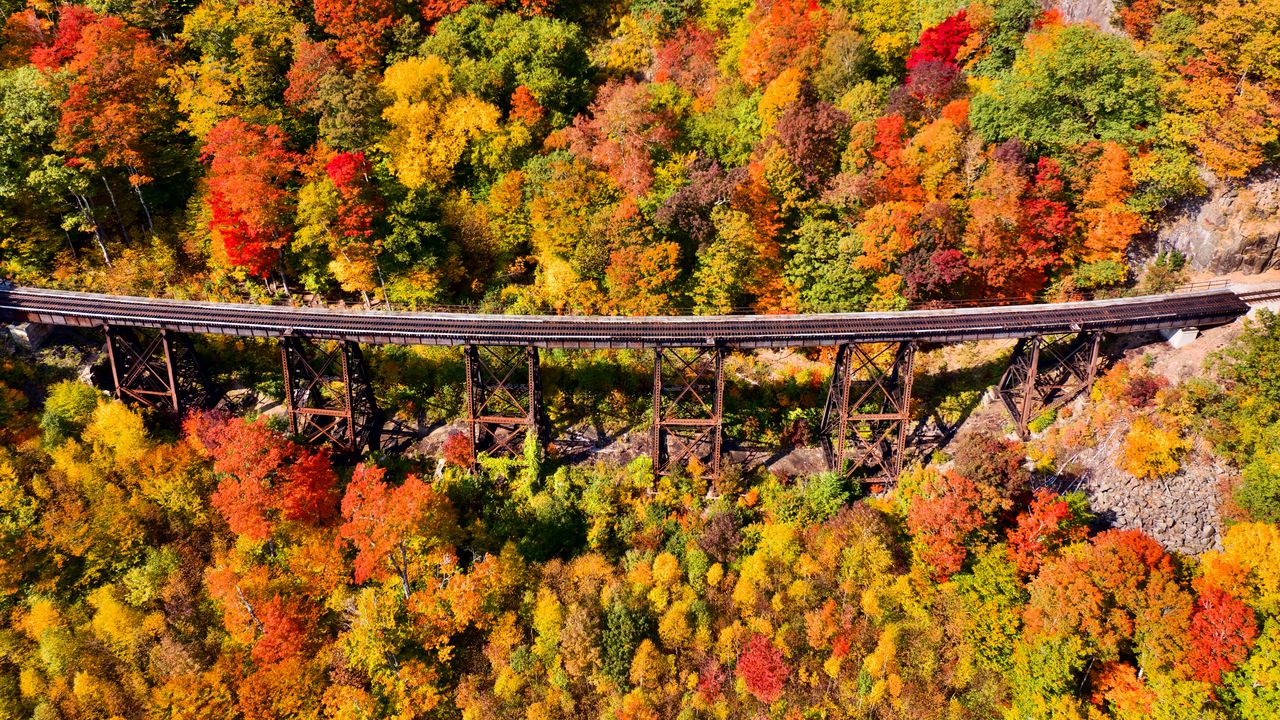 Обои мост, лес, осень, вид сверху