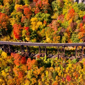 Превью обои мост, лес, осень, вид сверху