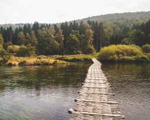 Превью обои мост, лес, река