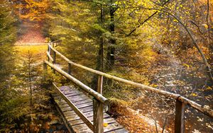 Превью обои мост, лес, река, осень, природа