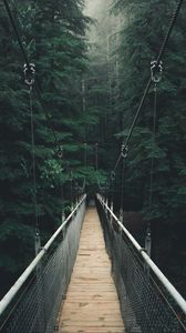 Превью обои мост, лес, туман, подвесной мост, канатный мост