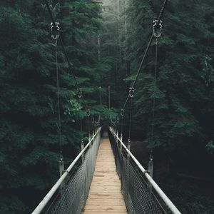 Превью обои мост, лес, туман, подвесной мост, канатный мост