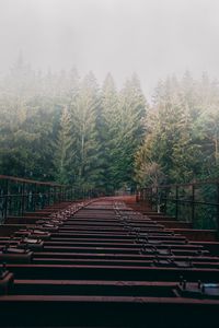Превью обои мост, лес, туман, деревья