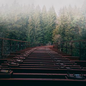 Превью обои мост, лес, туман, деревья