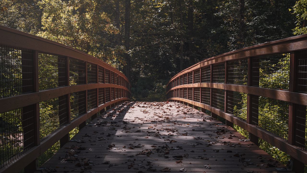Обои мост, листья, сухой, осень, свет, тени
