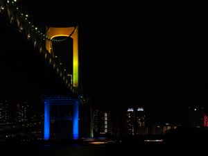 Превью обои мост, ночной город, подсветка, токио, япония