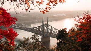 Превью обои мост, осень, город, цитадель, будапешт, венгрия