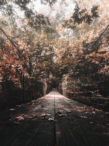 Превью обои мост, осень, листва