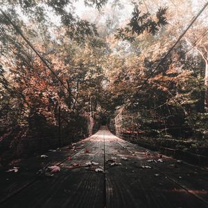 Превью обои мост, осень, листва