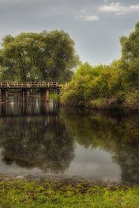 Превью обои мост, пейзаж, водоем, деревья, лето, парк, зеленый, серый