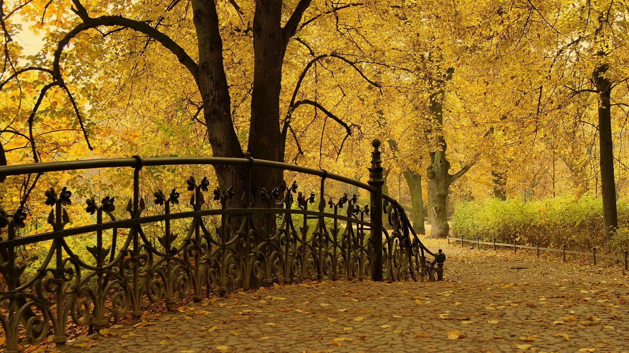 Обои мост, перила, парк, осень, деревья, листья