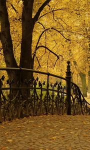 Превью обои мост, перила, парк, осень, деревья, листья