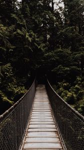 Превью обои мост, подвесной, деревья, лес, темный