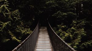 Превью обои мост, подвесной, деревья, лес, темный
