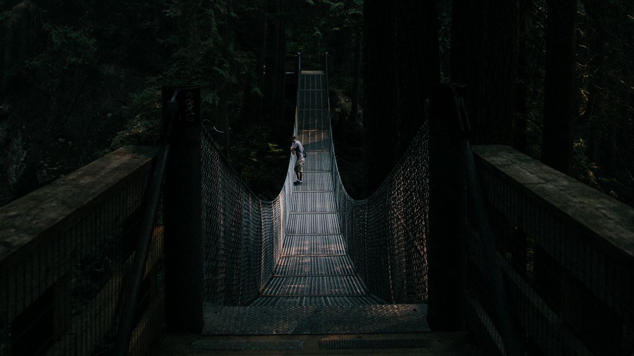 Обои мост, подвесной, одиночество, лес, темный
