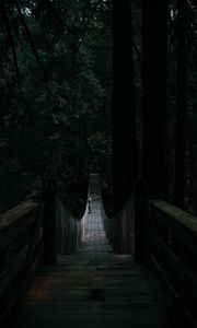 Превью обои мост, подвесной, одиночество, лес, темный