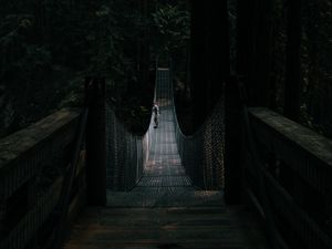 Превью обои мост, подвесной, одиночество, лес, темный