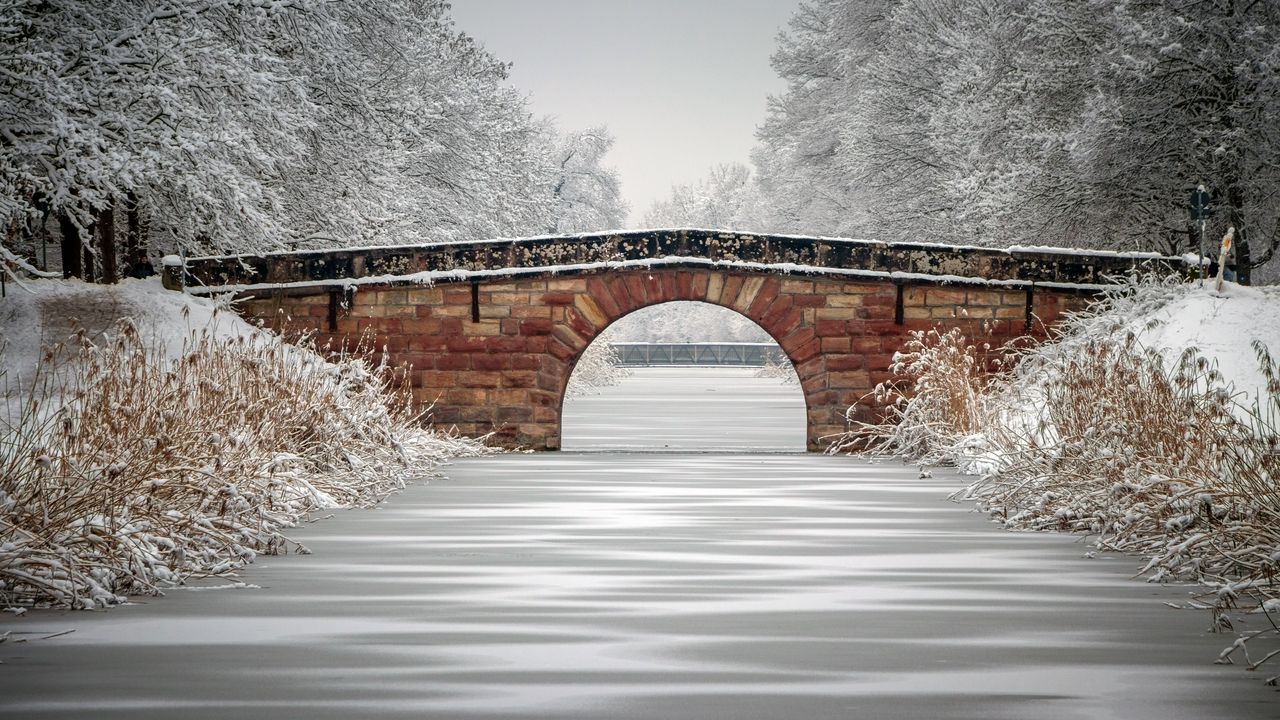Обои мост, река, лед, снег, деревья, зима