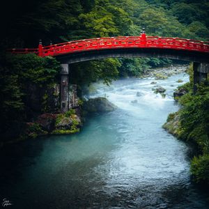 Превью обои мост, река, лес, деревья, азия