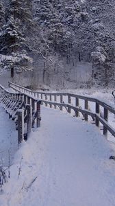 Превью обои мост, река, лес, зима, деревья
