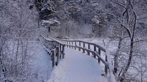 Превью обои мост, река, лес, зима, деревья