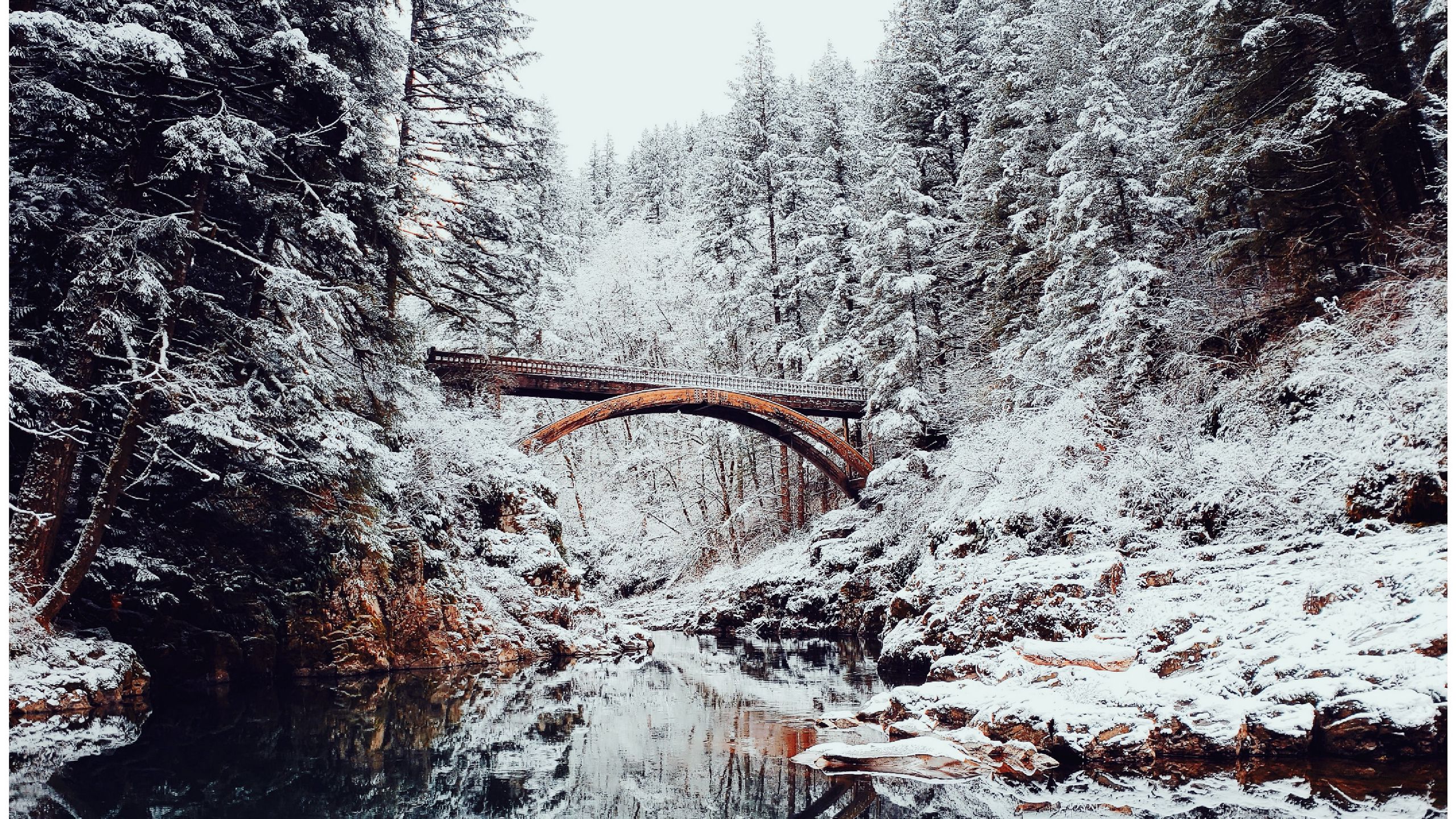 Зима, лес, река, мост