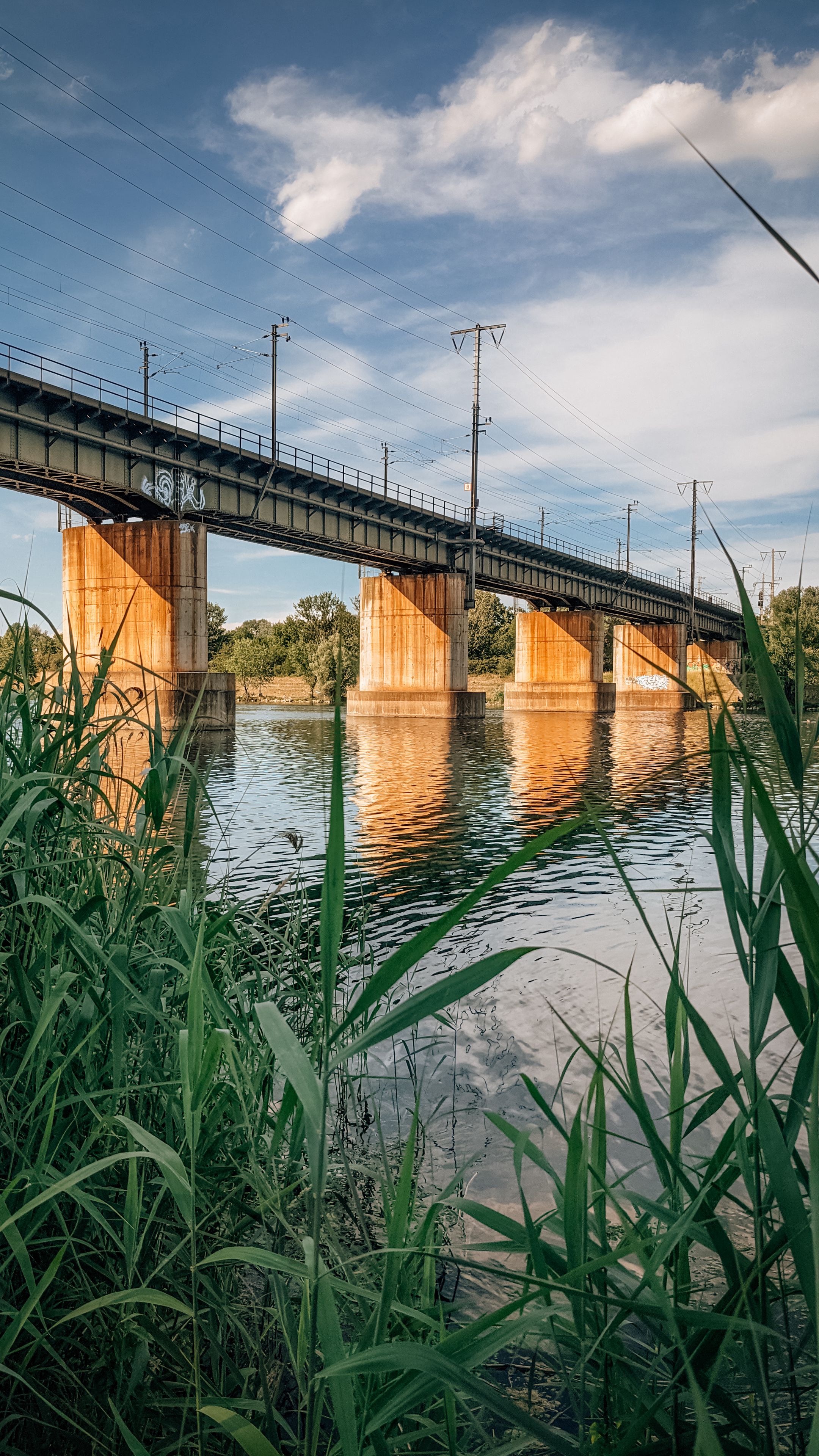 Река под рекой. Камыши мост река. Вода река мост. Мост река. Мосты в реке Сырдарье.