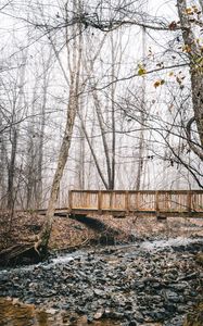 Превью обои мост, ручей, лес, туман, осень, природа