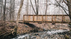 Превью обои мост, ручей, лес, туман, осень, природа