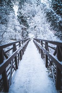 Превью обои мост, снег, деревья, зима, природа