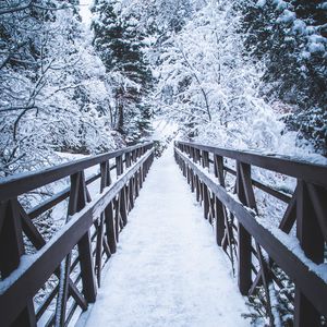 Превью обои мост, снег, деревья, зима, природа