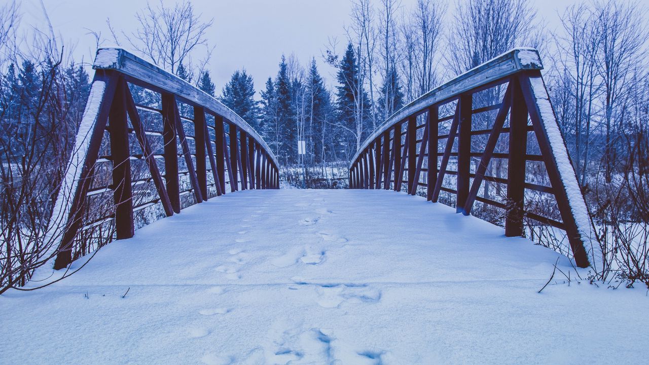 Обои мост, снег, следы, зима